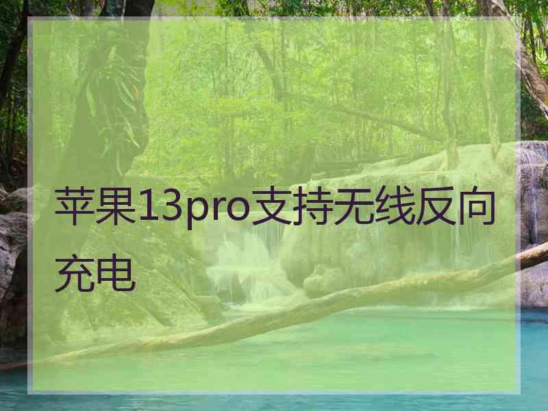 苹果13pro支持无线反向充电