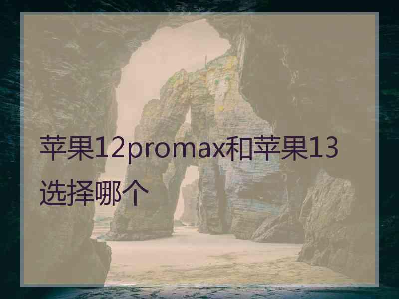 苹果12promax和苹果13选择哪个