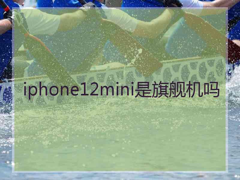 iphone12mini是旗舰机吗