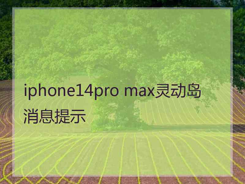 iphone14pro max灵动岛消息提示