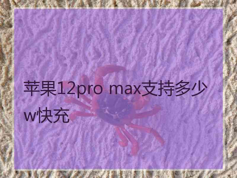 苹果12pro max支持多少w快充