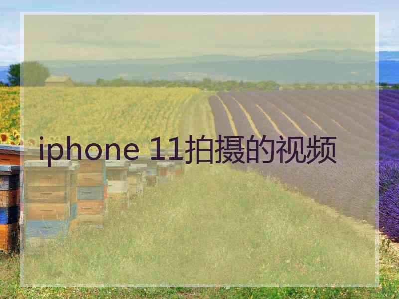 iphone 11拍摄的视频