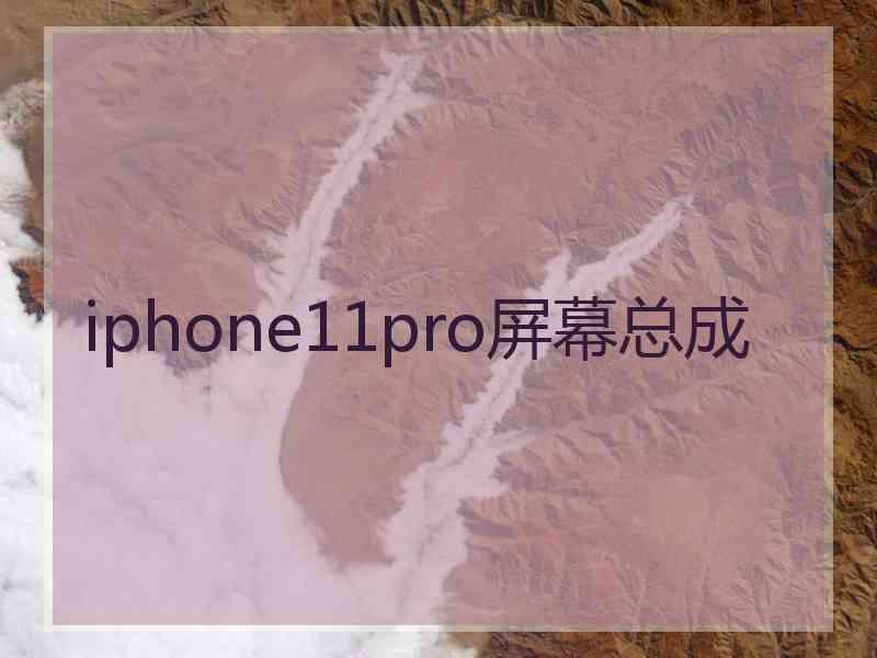 iphone11pro屏幕总成