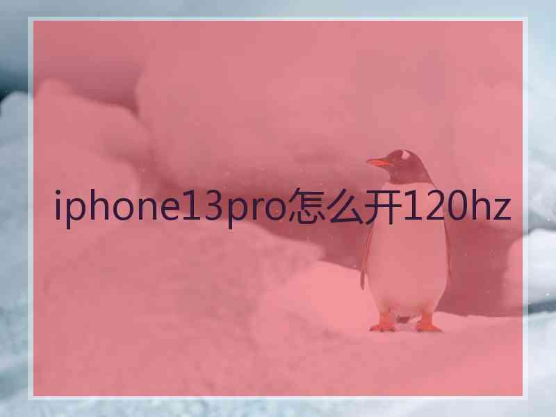 iphone13pro怎么开120hz