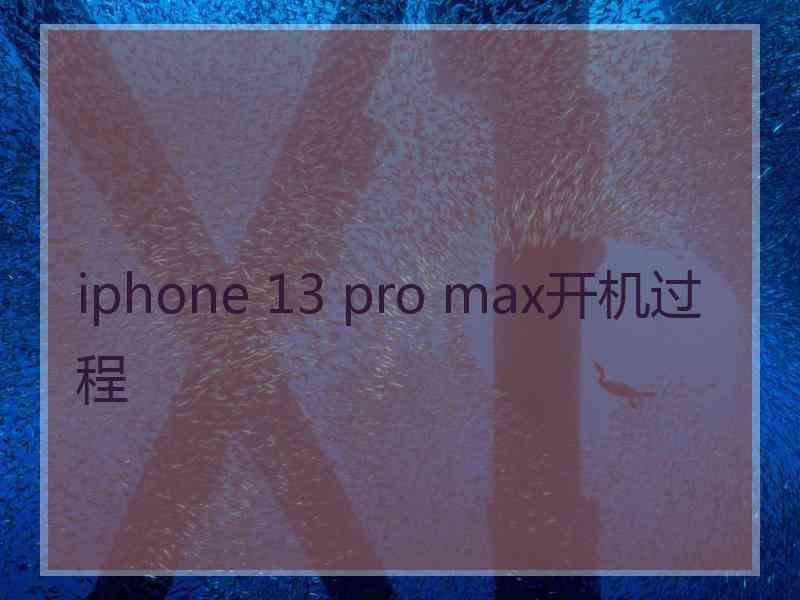 iphone 13 pro max开机过程