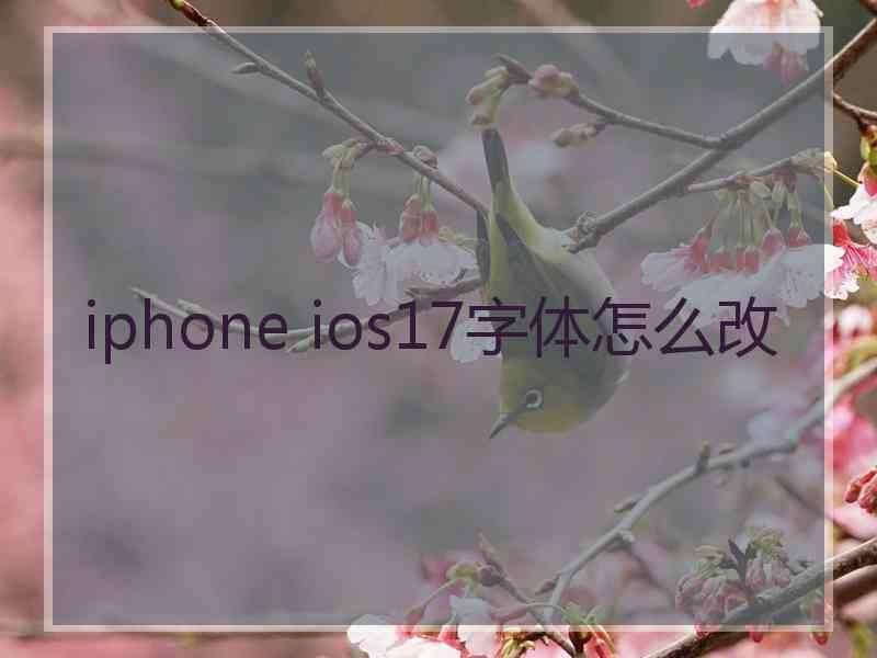 iphone ios17字体怎么改