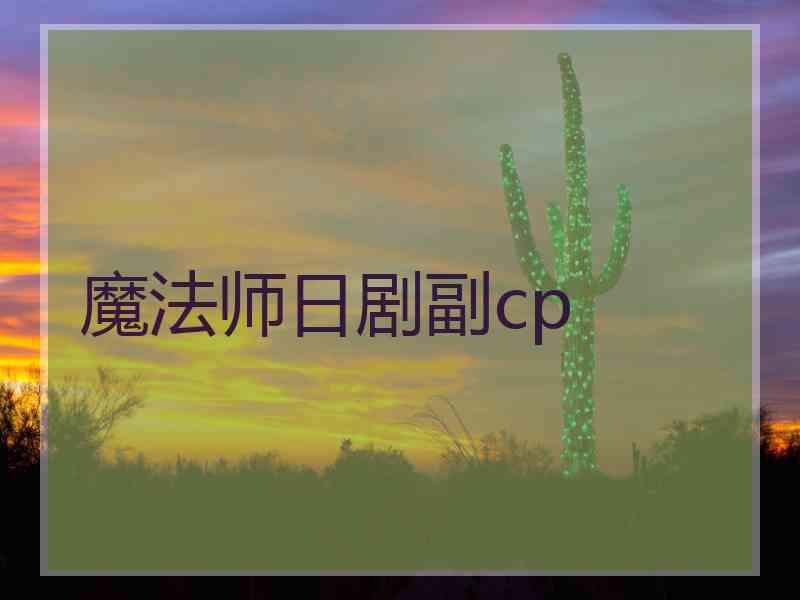 魔法师日剧副cp