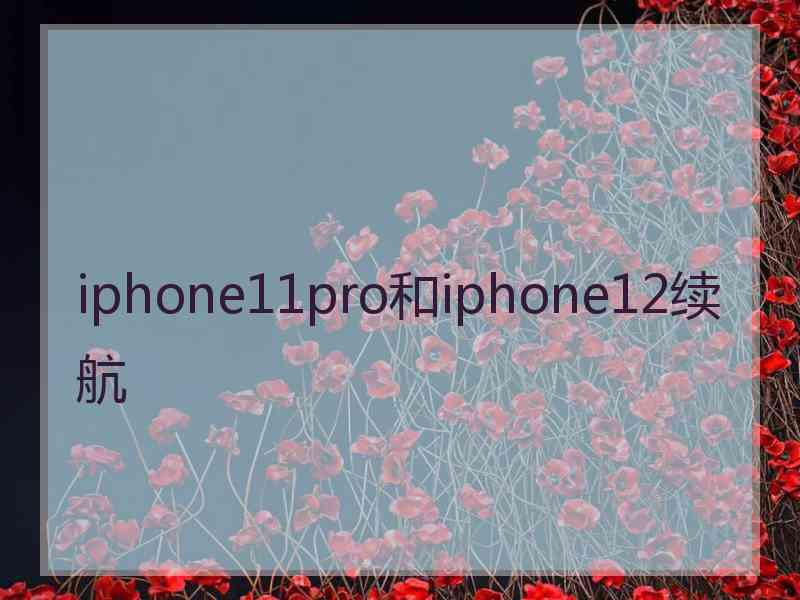 iphone11pro和iphone12续航