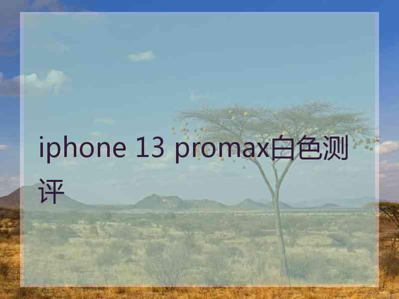 iphone 13 promax白色测评