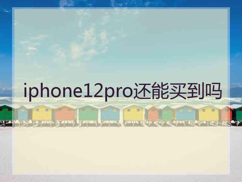 iphone12pro还能买到吗