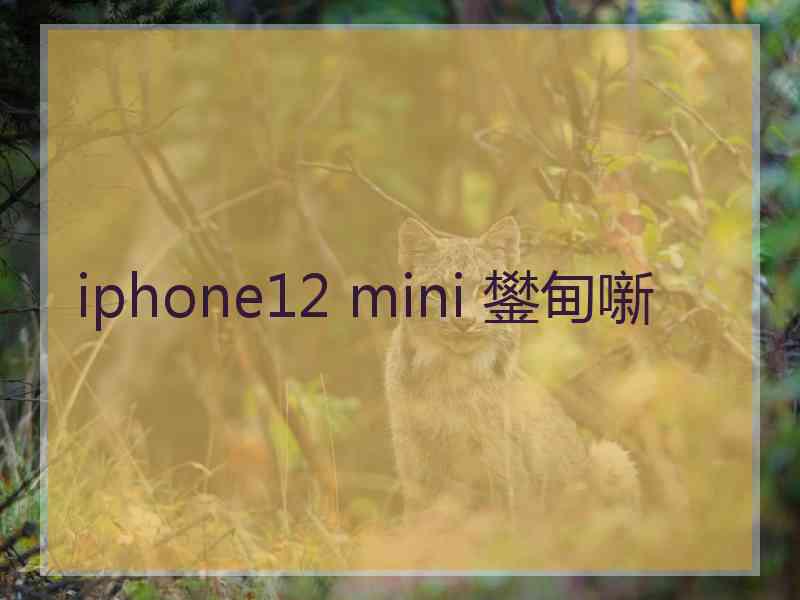 iphone12 mini 鐢甸噺