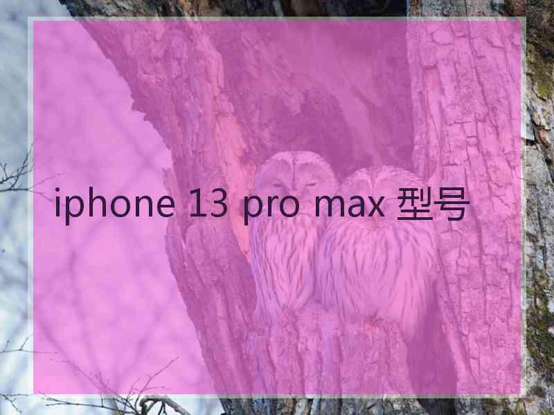 iphone 13 pro max 型号