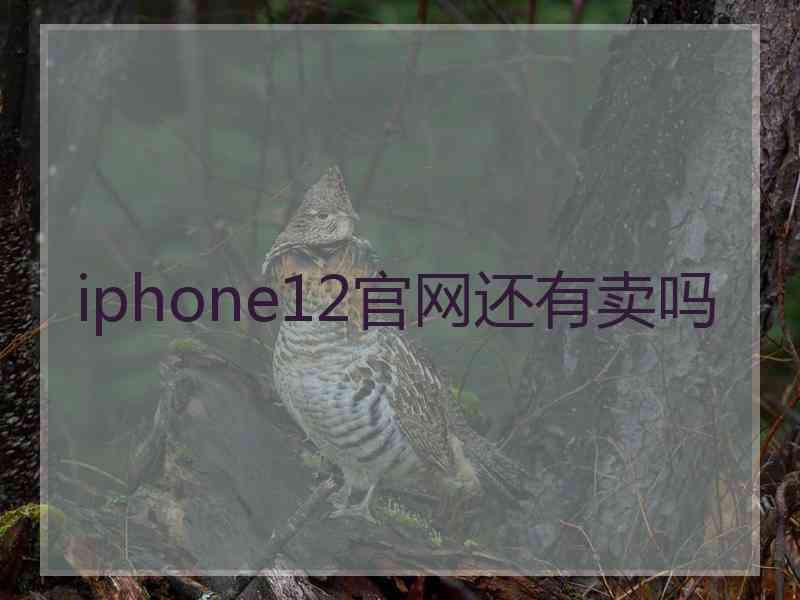 iphone12官网还有卖吗