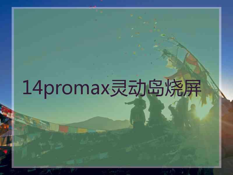 14promax灵动岛烧屏