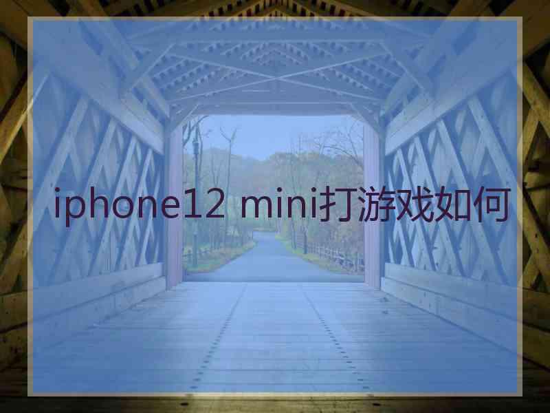 iphone12 mini打游戏如何