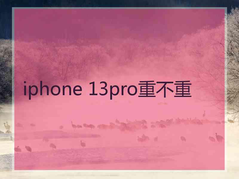 iphone 13pro重不重