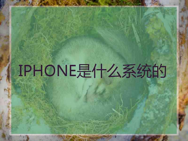 IPHONE是什么系统的