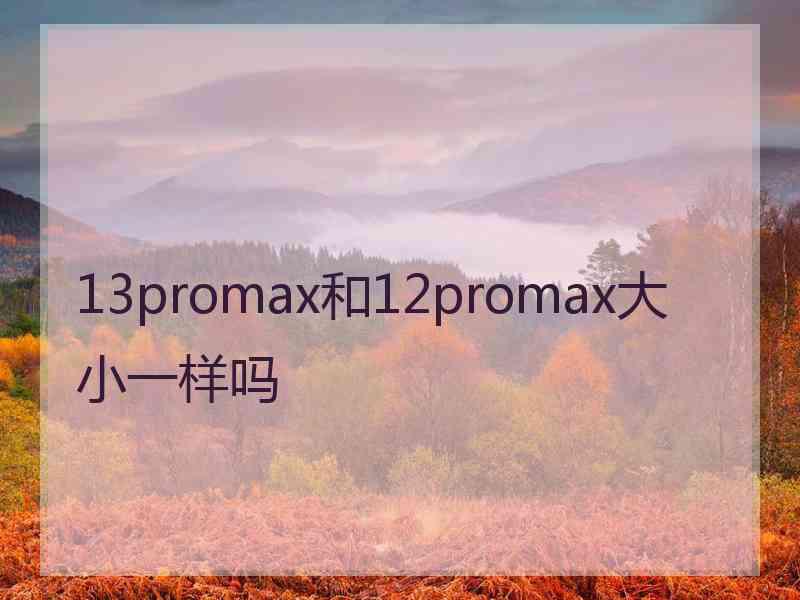 13promax和12promax大小一样吗