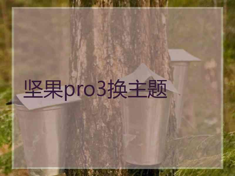 坚果pro3换主题