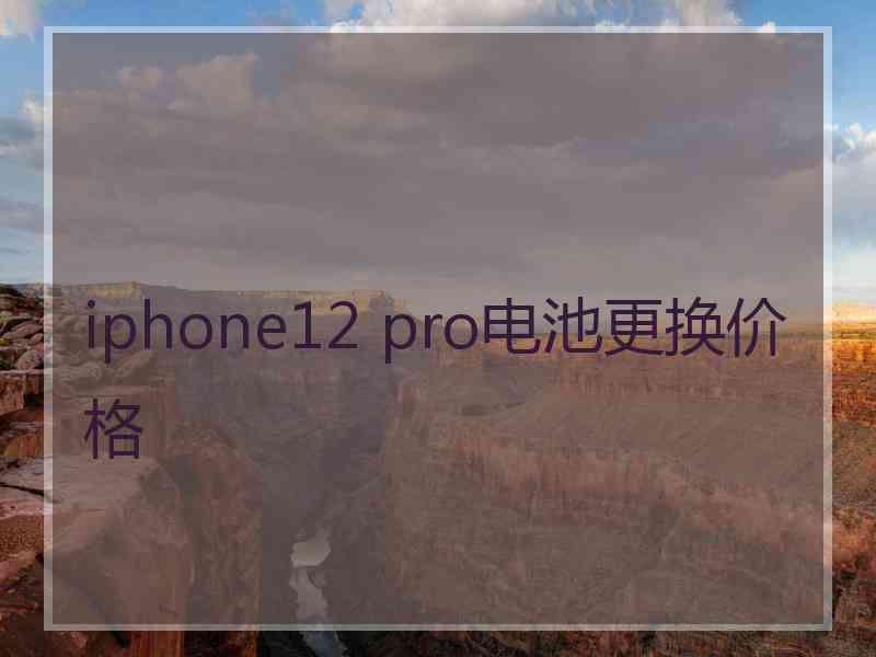 iphone12 pro电池更换价格