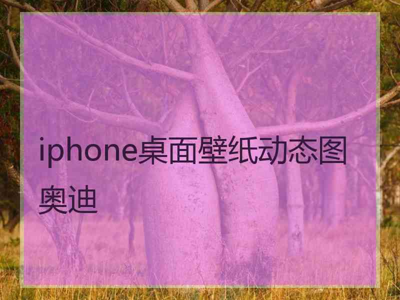 iphone桌面壁纸动态图奥迪