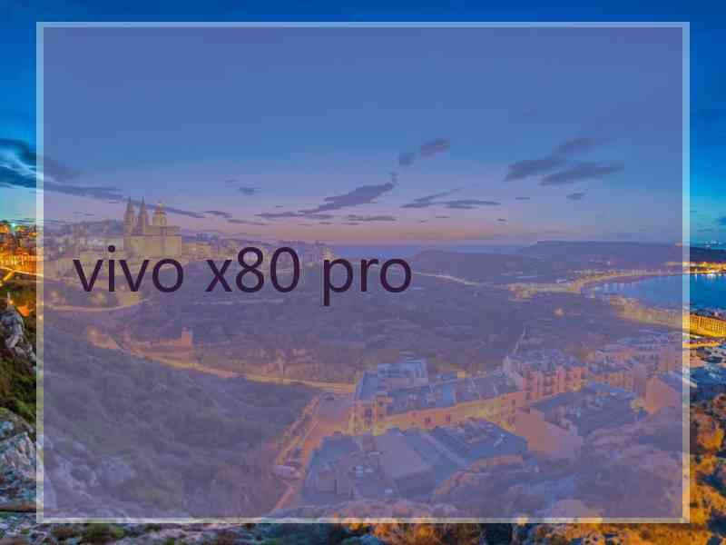 vivo x80 pro