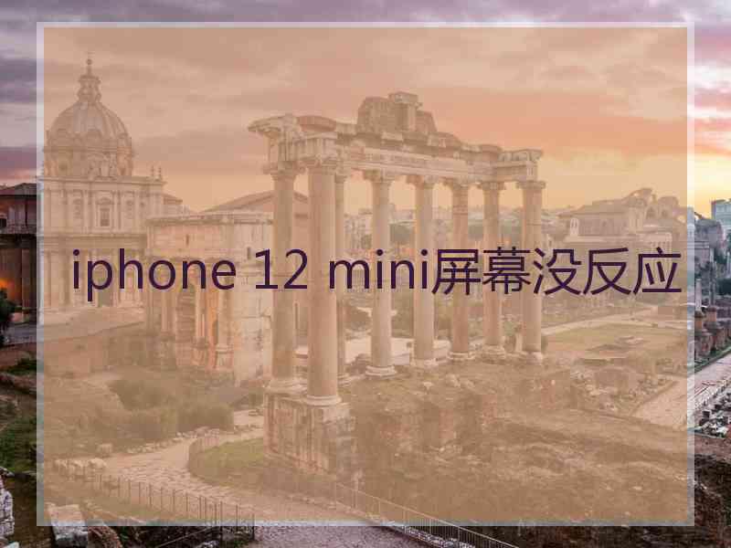 iphone 12 mini屏幕没反应