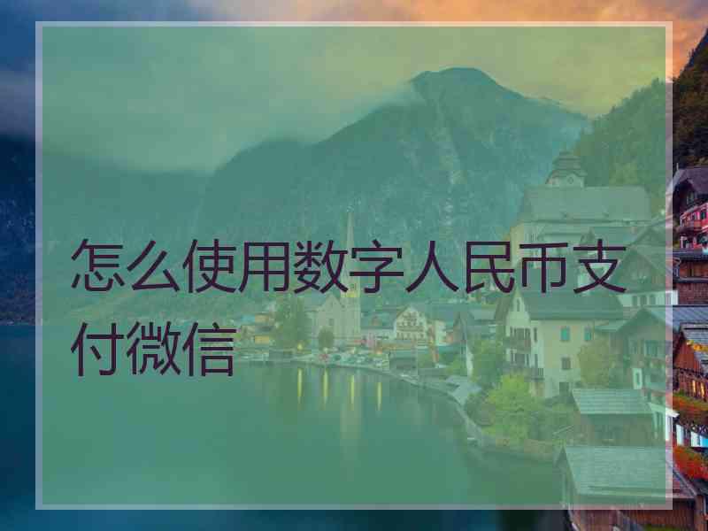 怎么使用数字人民币支付微信