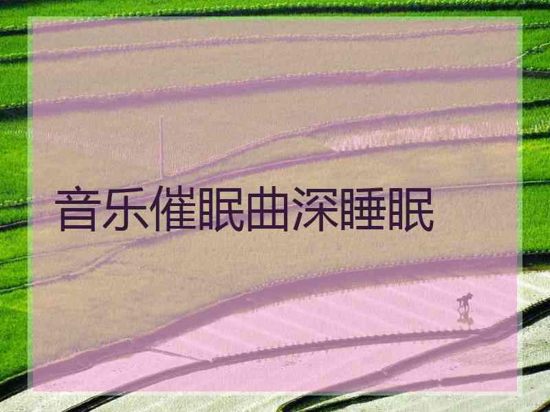 音乐催眠曲深睡眠