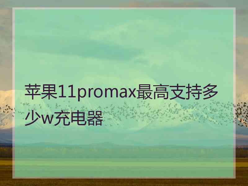 苹果11promax最高支持多少w充电器