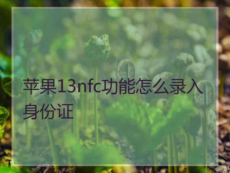 苹果13nfc功能怎么录入身份证