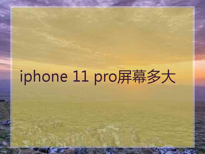 iphone 11 pro屏幕多大