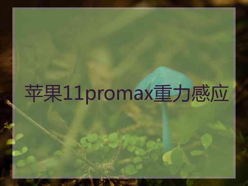 苹果11promax重力感应