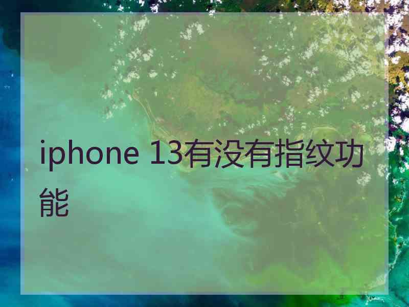 iphone 13有没有指纹功能