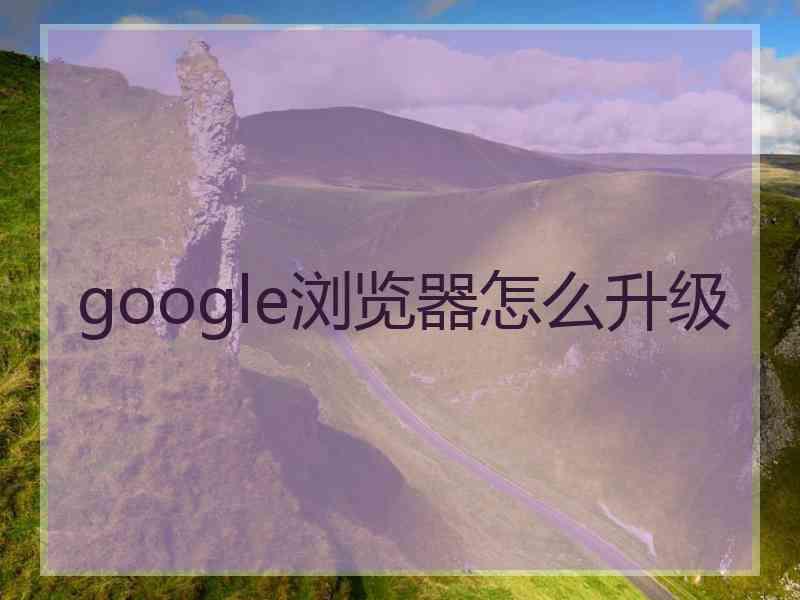 google浏览器怎么升级