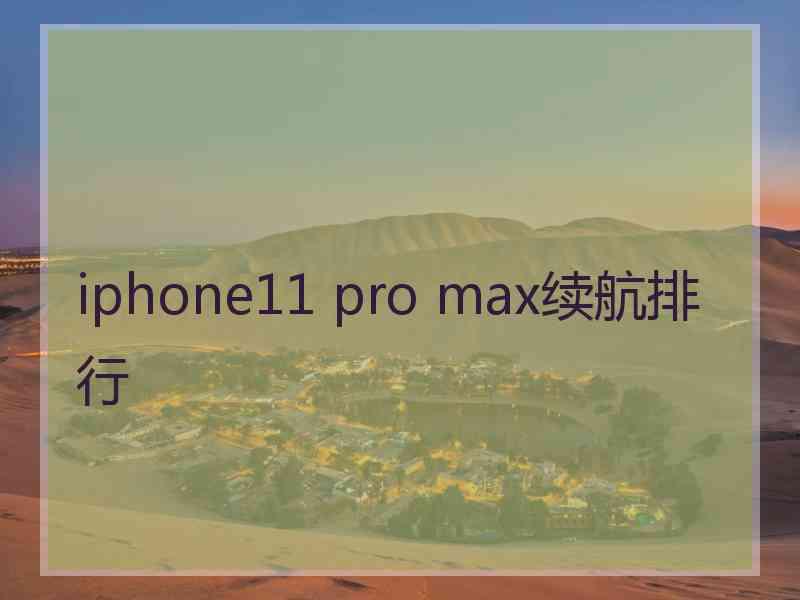 iphone11 pro max续航排行