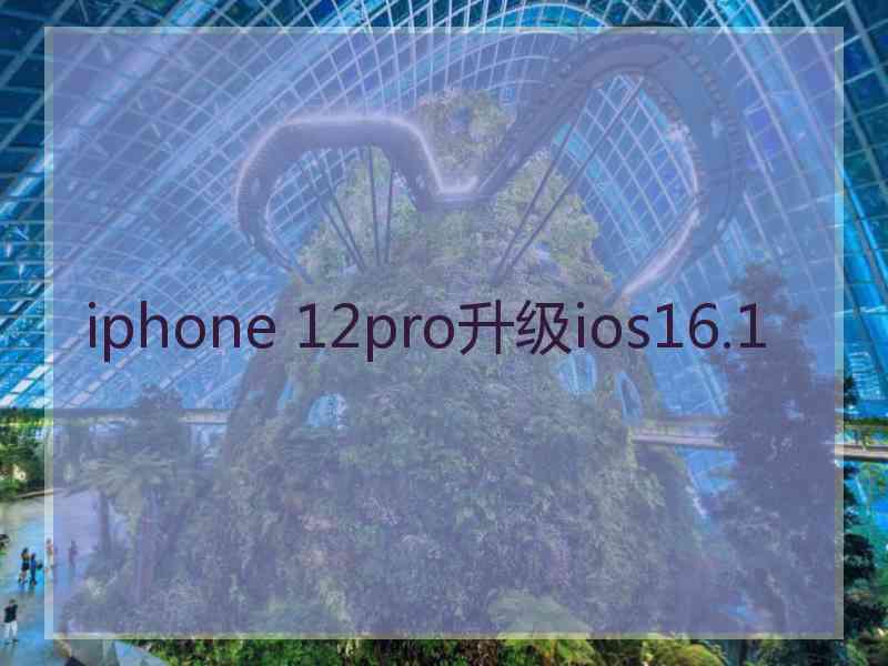 iphone 12pro升级ios16.1