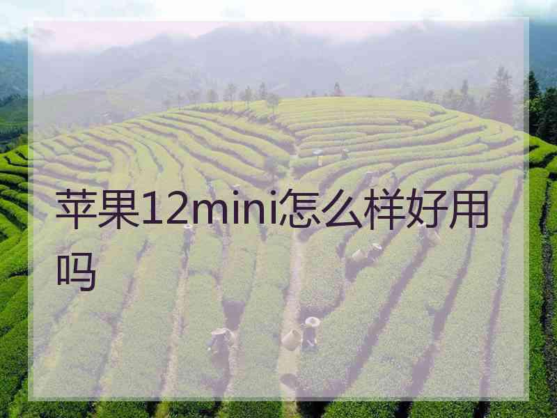 苹果12mini怎么样好用吗