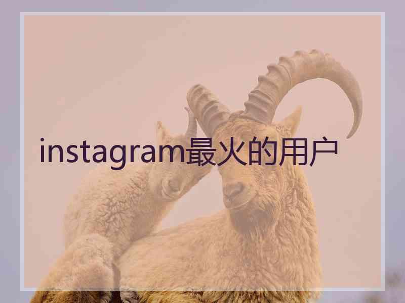 instagram最火的用户