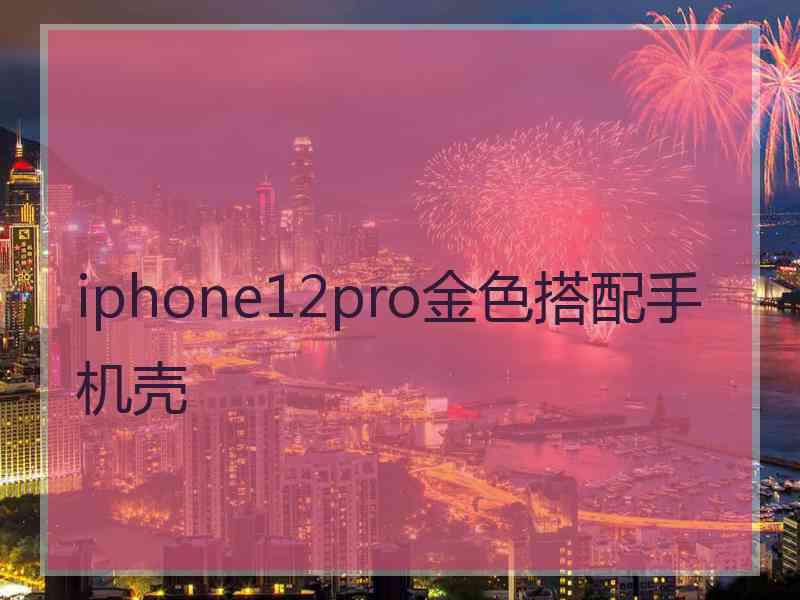 iphone12pro金色搭配手机壳