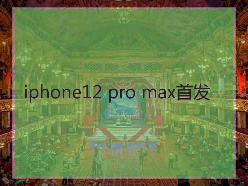 iphone12 pro max首发