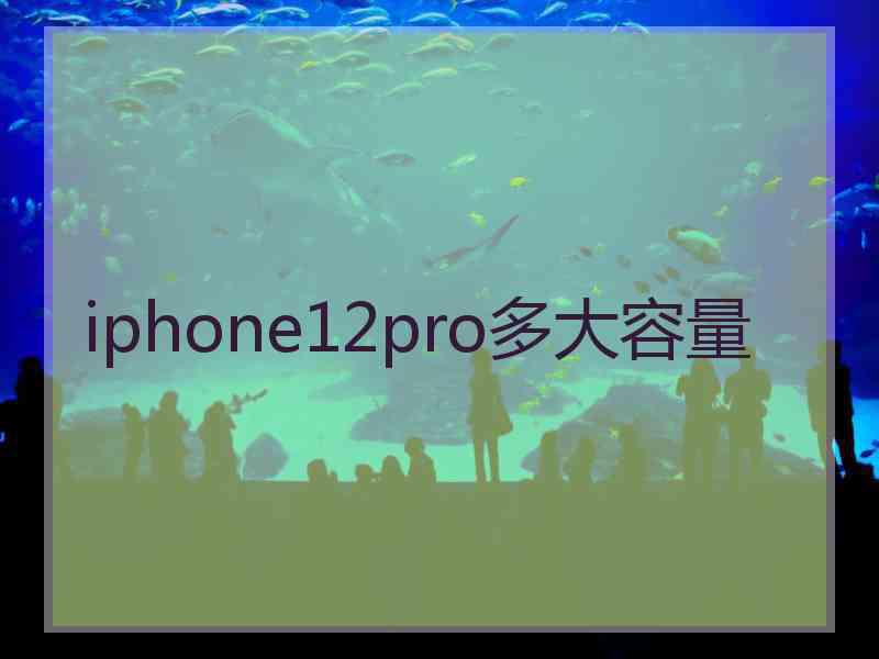 iphone12pro多大容量