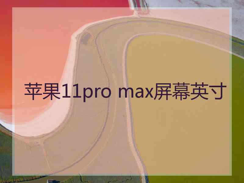 苹果11pro max屏幕英寸