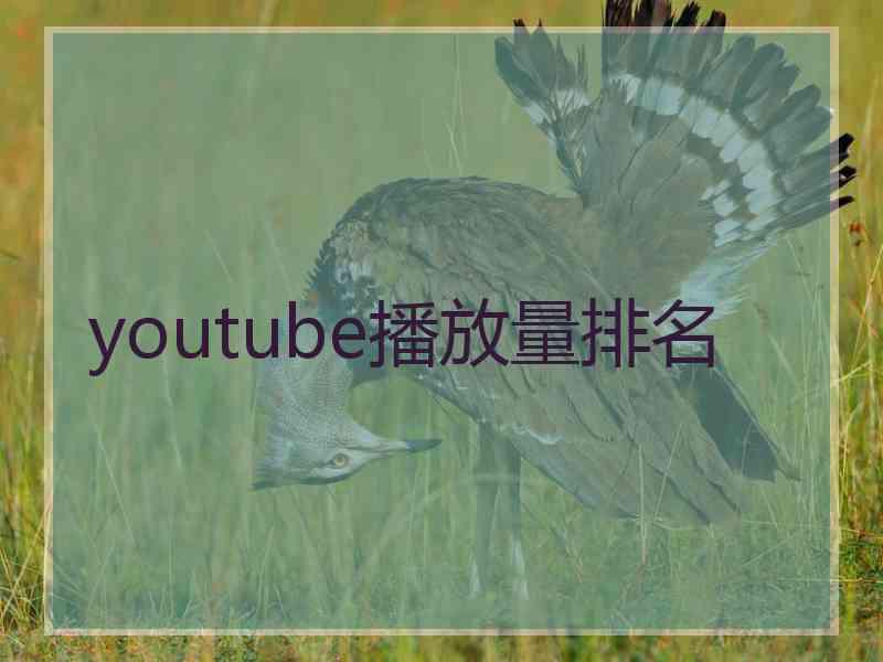 youtube播放量排名