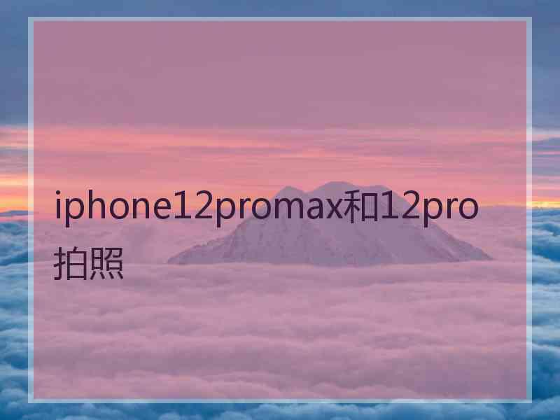 iphone12promax和12pro拍照