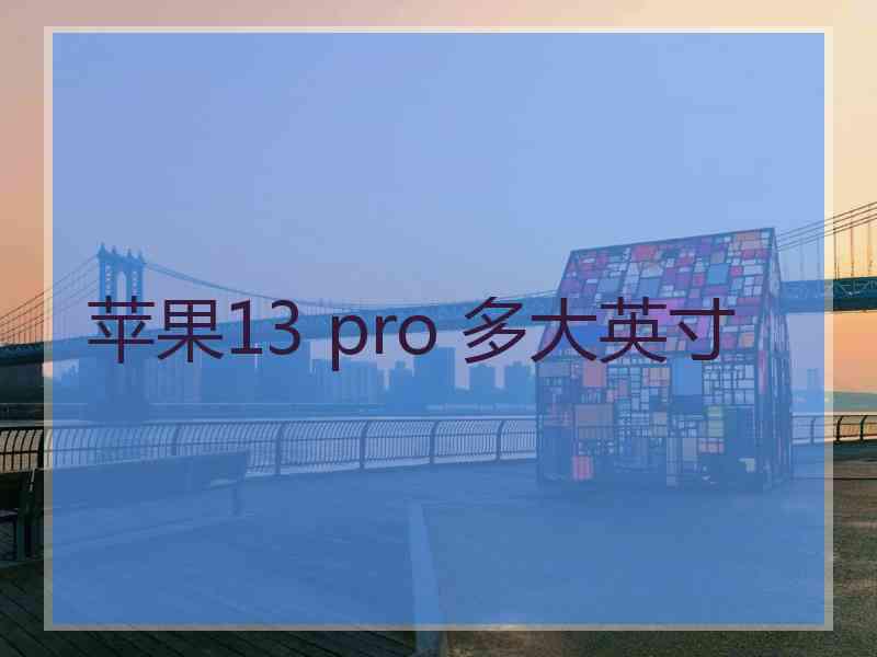 苹果13 pro 多大英寸