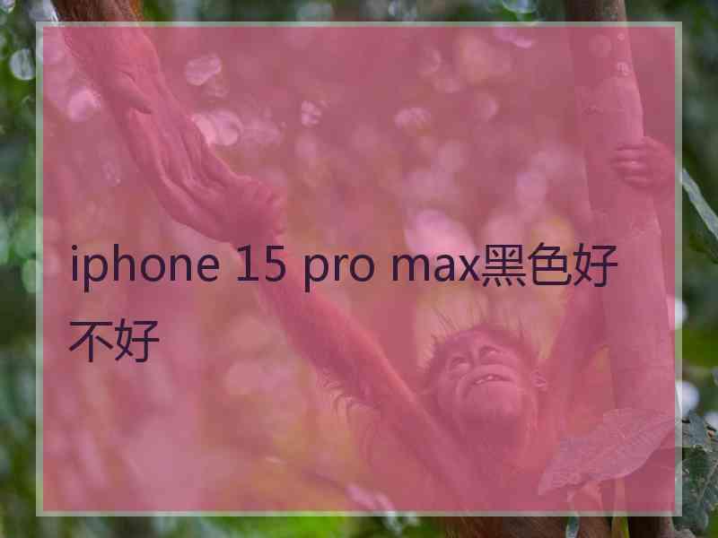 iphone 15 pro max黑色好不好