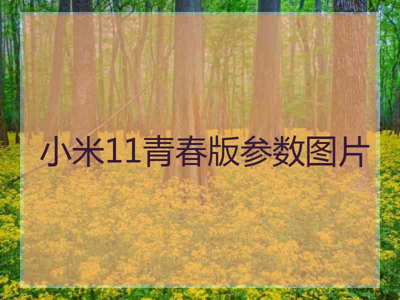 小米11青春版参数图片