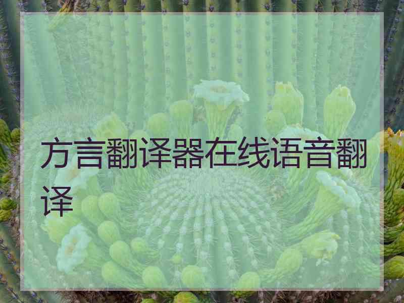 方言翻译器在线语音翻译