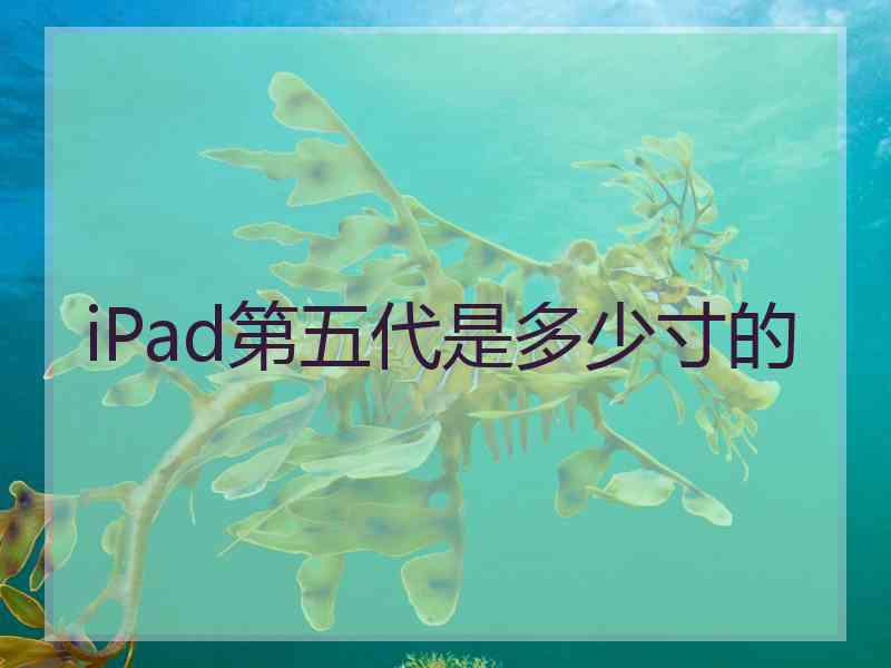 iPad第五代是多少寸的